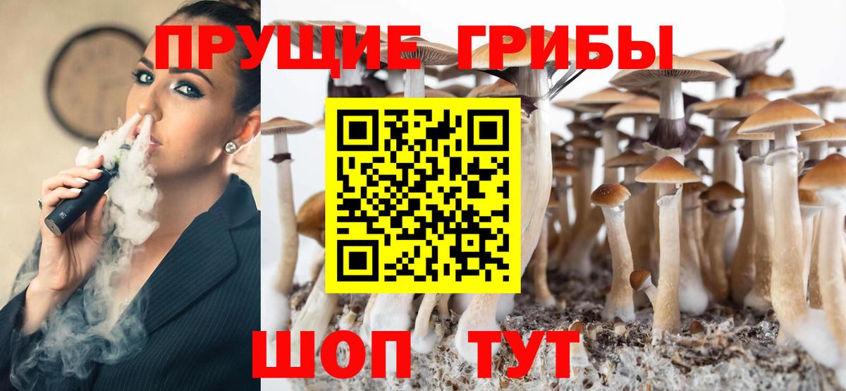 Галлюциногенные грибы мухоморы Ростов Великий